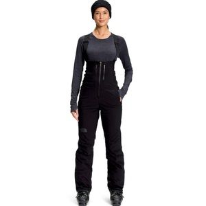 Northface Waterproof, Insulated Ski Pants/ Snow Bibs Womens